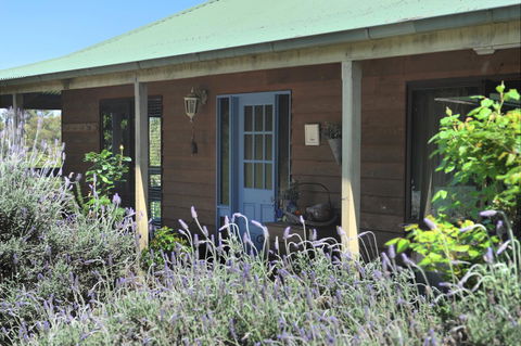 Lavender Farm - Accommodation ACT 8