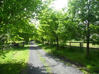 Book Wonga Park Accommodation Vacations Accommodation ACT Accommodation ACT