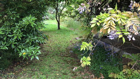 Lorelei Bed & Breakfast - Accommodation ACT 10