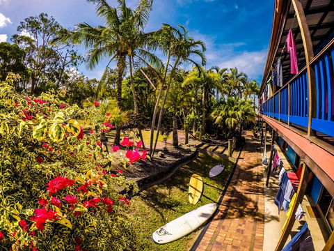 Cool Bananas Backpackers - Accommodation ACT 17