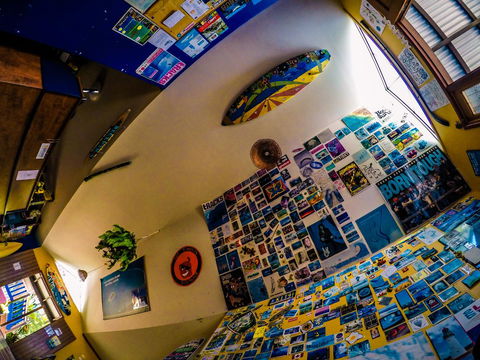 Cool Bananas Backpackers - Accommodation ACT 29