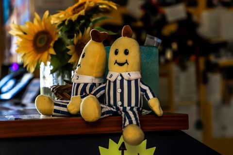 Cool Bananas Backpackers - Accommodation ACT 30