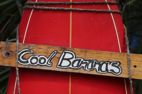 Cool Bananas Backpackers - Accommodation ACT 41