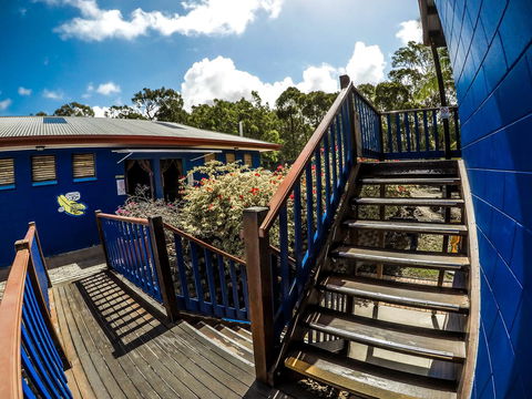 Cool Bananas Backpackers - Accommodation ACT 27