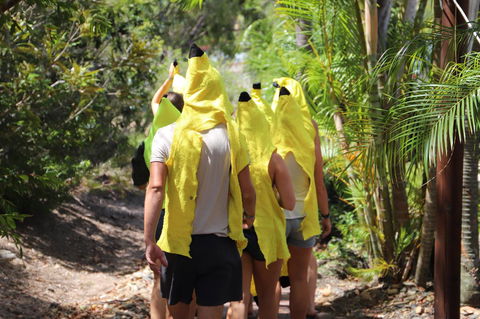 Cool Bananas Backpackers - Accommodation ACT 19