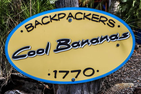 Cool Bananas Backpackers - Accommodation ACT 38