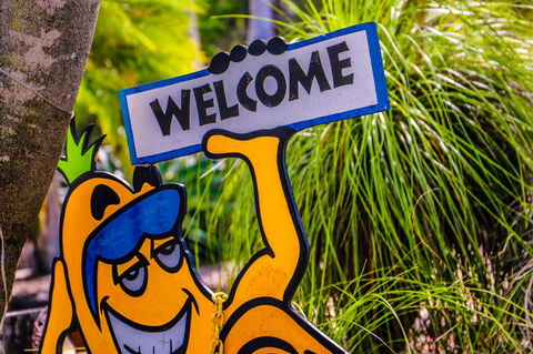 Cool Bananas Backpackers - Accommodation ACT 37