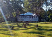 Book Peregian Beach Accommodation Vacations Accommodation ACT Accommodation ACT