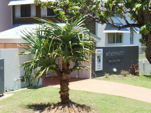 Whale Watch Ocean Beach Resort - Accommodation ACT 15