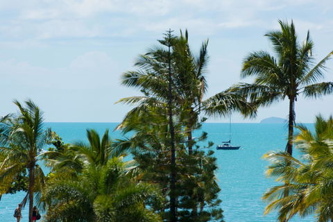 Heart Hotel And Gallery Whitsundays - Accommodation ACT 13