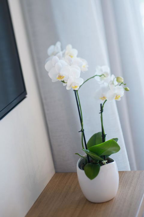 Heart Hotel And Gallery Whitsundays - Accommodation ACT 28