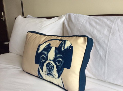 Hyatt Regency Brisbane - Accommodation ACT 23