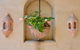 Villa San Michele (Official) - thumb 3