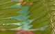 Villa San Michele (Official) - thumb 21