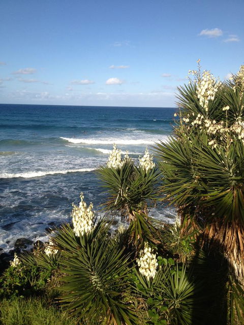 Oceania On Burleigh Beach - Accommodation ACT 23