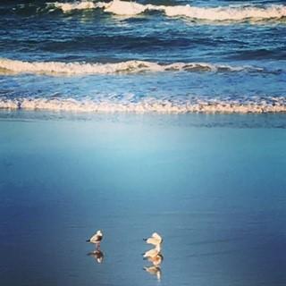 Oceania On Burleigh Beach - Accommodation ACT 40