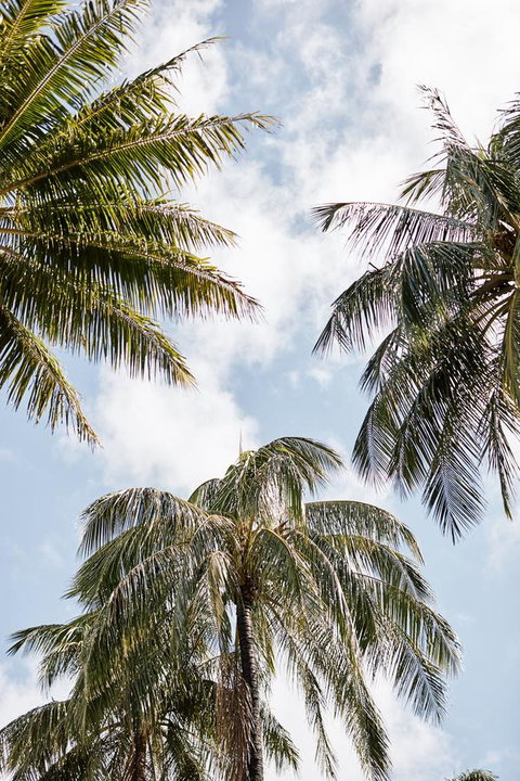 Novotel Cairns Oasis Resort - Accommodation ACT 9