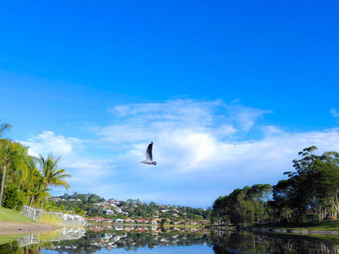 Bay Of Palms - Accommodation ACT 18