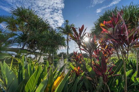 Currumbin Sands On The Beach - Accommodation ACT 9