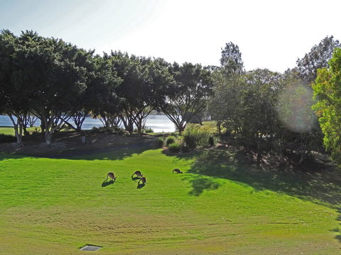Waterfront Resort Villa With Buggy - Accommodation ACT 32