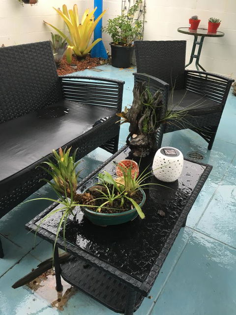 Black Marlin Motel - Accommodation ACT 3