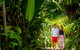 Cairns Colonial Club Resort - thumb 21