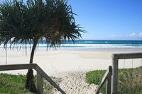 WAVES 203 ON CURRUMBIN