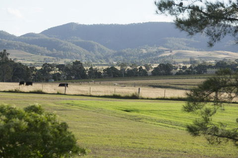 Windarra Lodge - Accommodation ACT 3