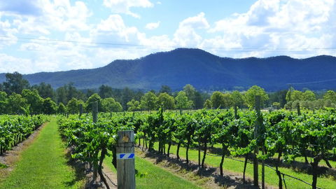 Winmark Wines - Accommodation ACT 1