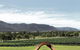 Winmark Wines - thumb 3
