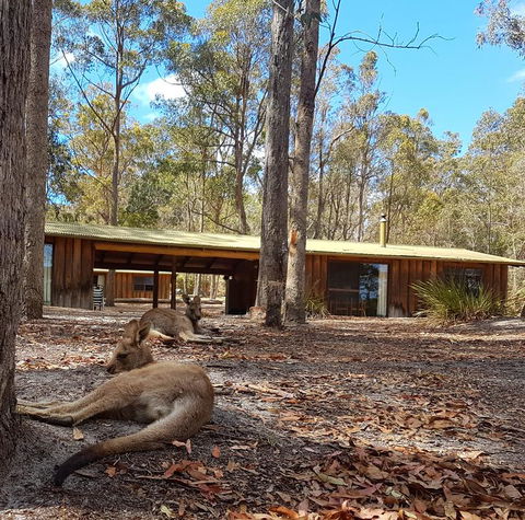 Woodbine Park Eco Cabins - Accommodation ACT 2
