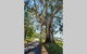 WOOLWAY - thumb 1