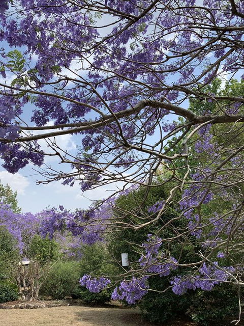 Wyndover Mountain Retreat - Accommodation ACT 1