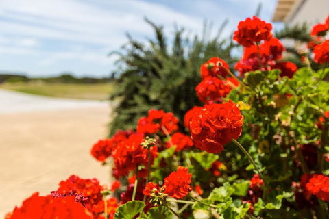 Wytonia Beachfront Accommodation - Accommodation ACT 3