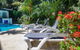 Martinique On Macrossan - thumb 12