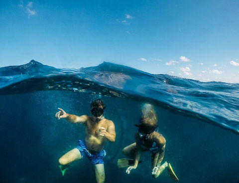 Manta Lodge YHA & Scuba Centre - Accommodation ACT 12