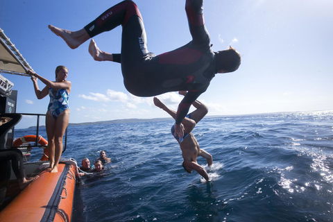 Manta Lodge YHA & Scuba Centre - Accommodation ACT 11