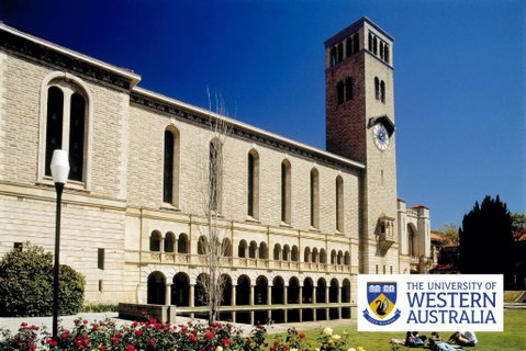 Crawley Cosy Urban Retreat Close To CBD UWA Free Park Netflix - Accommodation ACT 4