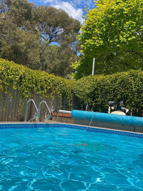 Creek Front House - Accommodation ACT 1