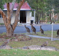 31 The Rocks - Accommodation ACT