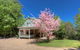 406 Back Porepunkah Road, Bright - thumb 0