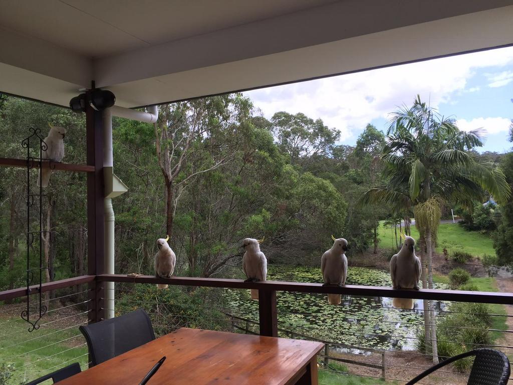  Accommodation ACT