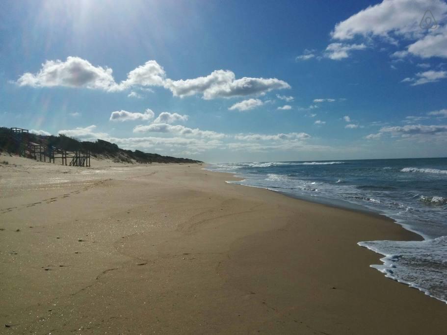 Myrtlebank VIC Accommodation ACT