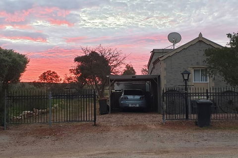 A Real Bush Retreat. Kangas, Emus & Starry Skies. - Accommodation ACT 1