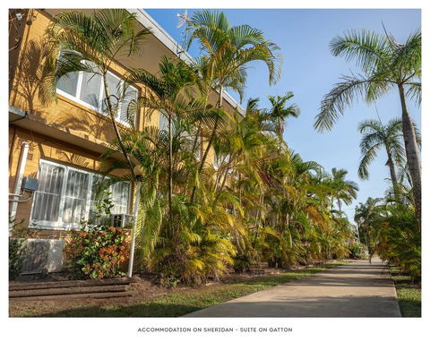Accommodation On Sheridan - Accommodation ACT 1