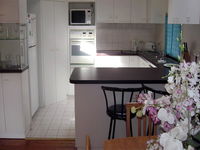 Book Forestville Accommodation Vacations Accommodation ACT Accommodation ACT