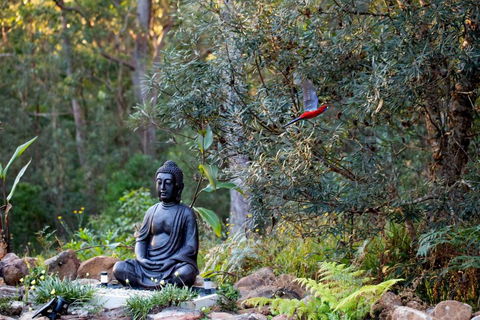 Dorrigo Bush Pepper Retreat - Accommodation ACT 4