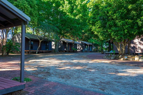 Dorrigo Mountain Holiday Park - Accommodation ACT 2