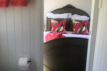 Grouse Tiny In The Bush with Accommodation ACT