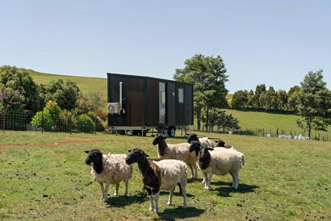 Hillside Hideout By Tiny Away - Accommodation ACT 2